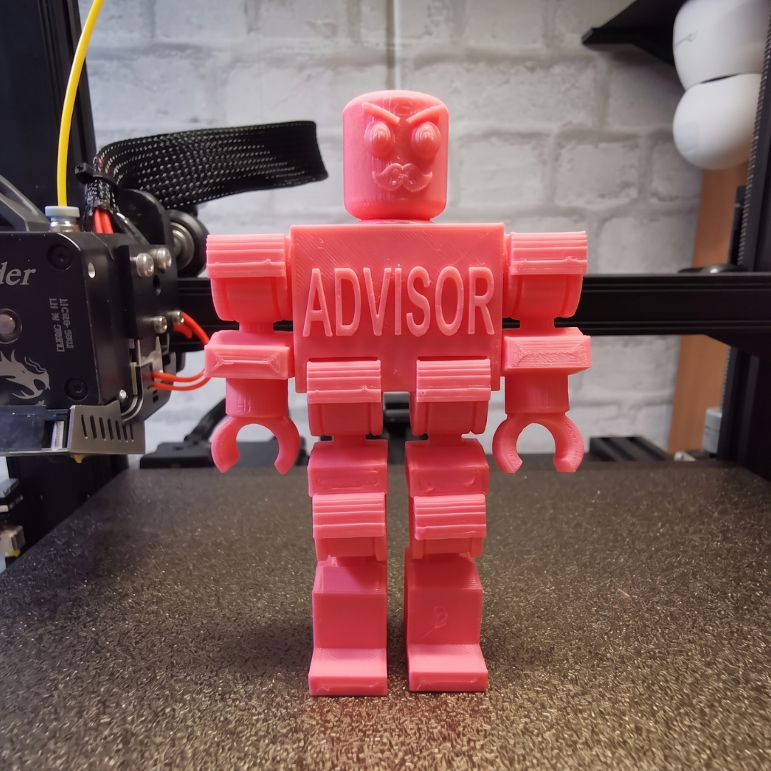 Custom robo-advisor figure for Ned Phillips
